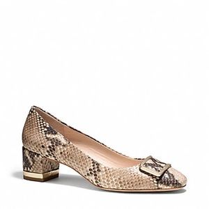 COACH brand Isla Classic Snake Print 7.5M US